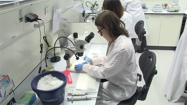 El CSIC i la Universitat de València han inaugurat l'Institut de Biologia Integrativa de Sistemes